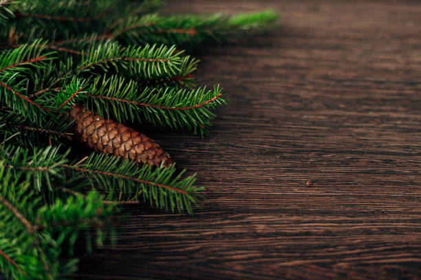 istock Decoration of Christmas Tree Branches on a Brown Background with CopySpace 1291827362