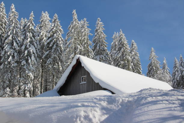 istock Sunny winter day on the Feldberg in the Black Forest 1291828768