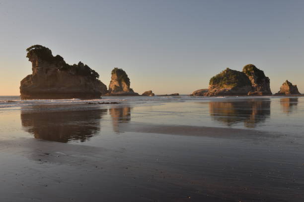 istock Motukiekie Beach 1291830780
