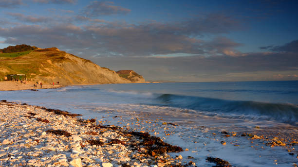 istock Autumn evening light on the cliffs at Charmouth, Dorset, UK 1291831127