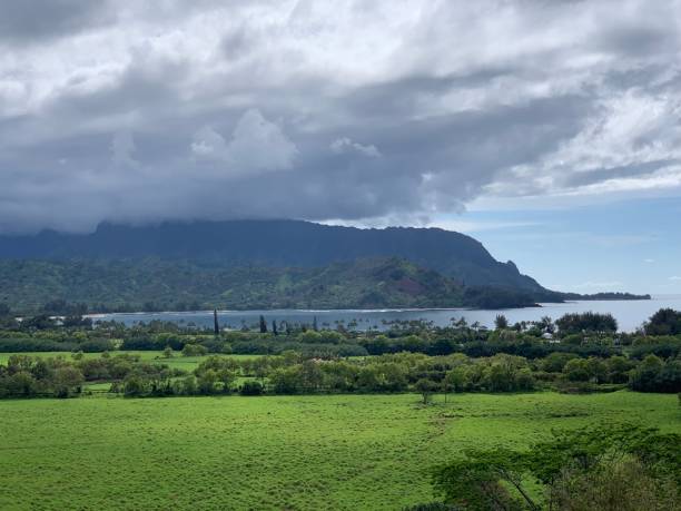 istock Beautiful green fields and mountains in Kauai Island 1291832901