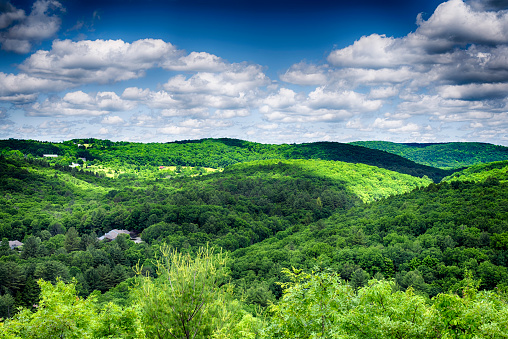 The rolling hills of litchfield county at the hidden valley nature preserve in washington depot connecticut on a summer day.
