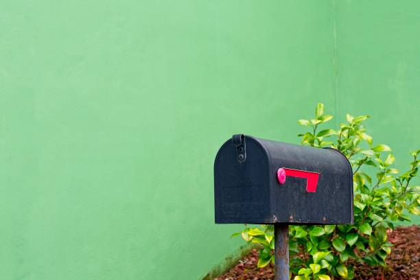 istock old black mailbox with green background and a bush at the bottom right 1291834984