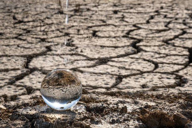 Megadrought. Mature hydrologist study impact of global drought with mobile laboratory in the field. Prevention and strategies on water management.