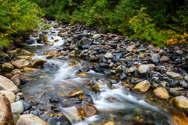 istock Kaslo River British Columbia Canada 1291836638