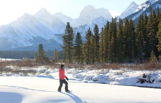 mulher branca snowshoeing nas rochosas canadenses - kananaskis country - fotografias e filmes do acervo