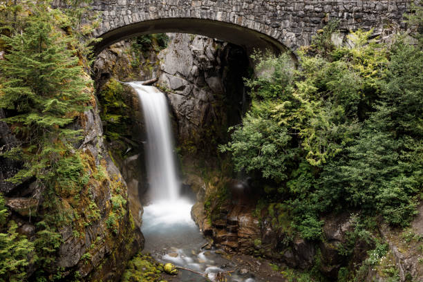 istock Christine Falls waterfall framed by bridge and trees in Mt Rainier NP 1291840015