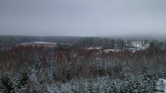 The winter forest is covered with fresh snow on dramatic sky background. Shooting from a height, a drone. y.