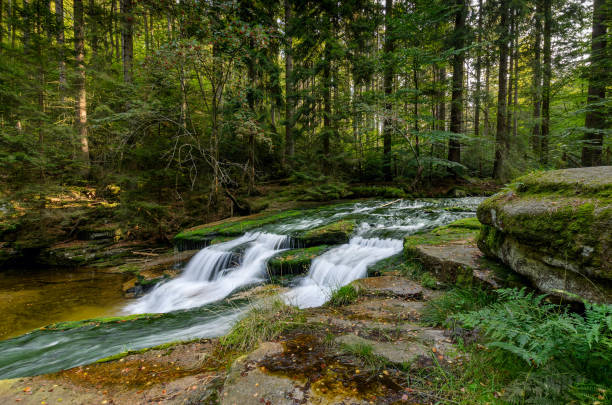 istock Szklarka upper cascades, Giants Mountains range 1291845263