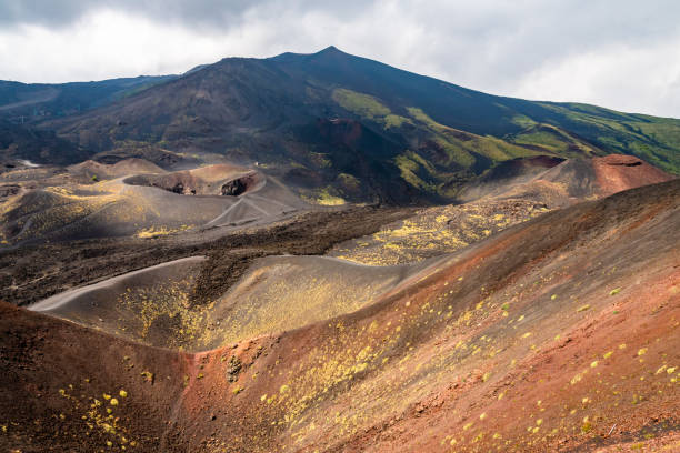 istock Mount Etna volcanic landscape and its typical vegetation, Sicily 1291846319