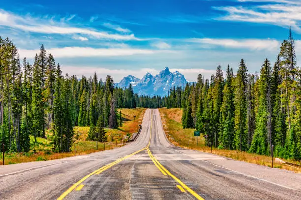 Photo of Road into the Tetons