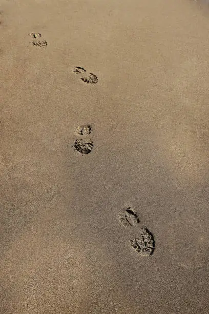 Photo of Shoe prints on sand near the sea