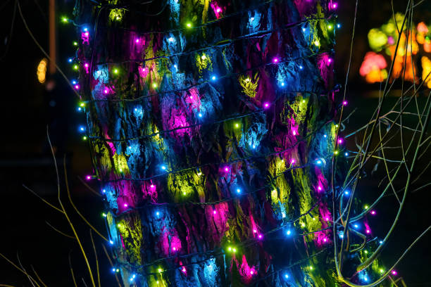 istock Abstract background made of colorful lights 1291851519