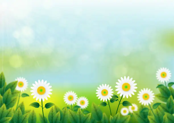 Vector illustration of Realistic blurred spring background.