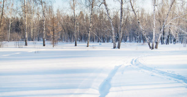 冬公園のスキーコース。コンセプト - 自然、健康的なライフスタイル - rural scene russia ski track footpath ストックフォトと画像