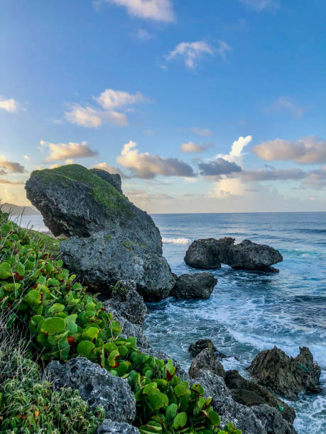 istock Rocky coast of the Caribbean 1291855156