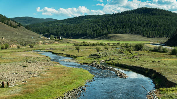 istock Creek Flowing Through Meadow in Colorado 1291858162