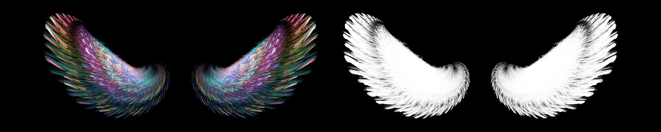 Illustration of colorful bird wings with white clipping mask. You can crop it in photoshop by selecting a white wing and placing it on a colorful wing.