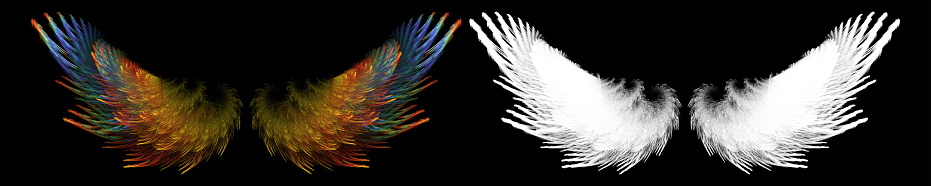 Illustration of fantasy colorful bird wing with white clipping mask. You can crop it in photoshop by selecting a white wing and placing it on a colorful wing.