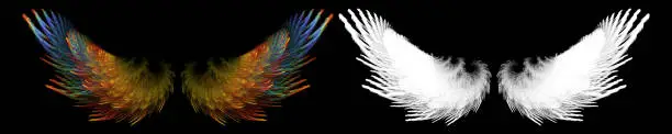 Photo of fantasy colorful bird wing with white clipping mask