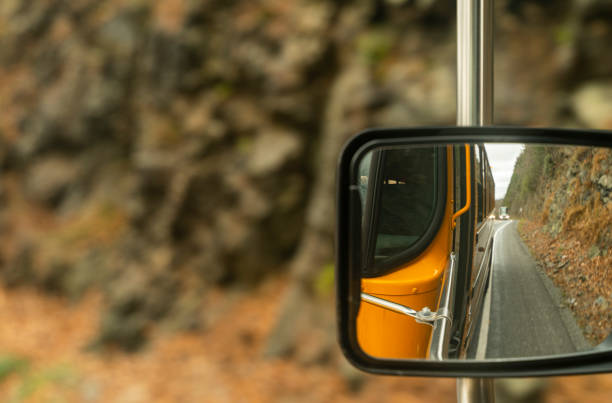 늦은 가을에 산의 도로에서 운전하는 학교 버스의 백미러에 반사 - driver bus public transportation reflection 뉴스 사진 이미지