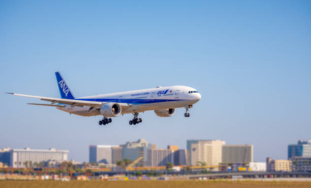 Los Angeles, California / USA - September 22, 2020: A close up view of a ANA Airlines Boeing 777 on final approach into Los Angeles International Airport.  The airplane is only a few feet above the ground, the gear and flaps have been extended in preparation for landing.  There are also several tall buildings in the background.