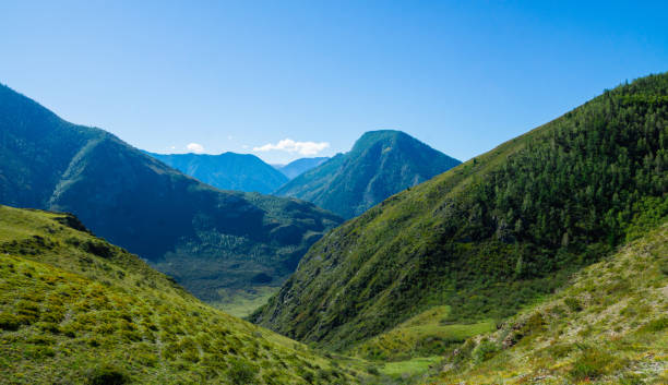 istock Green valley landscape and small forests with mountains on background 1291881389