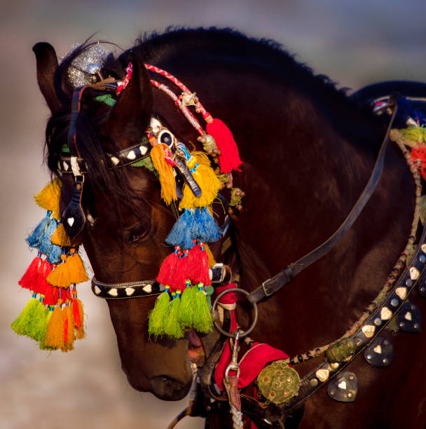 Seville, Spain - April 29, 2015: Row of Thoroughbred Horses at the April's Fair of Seville.The Seville Fair \