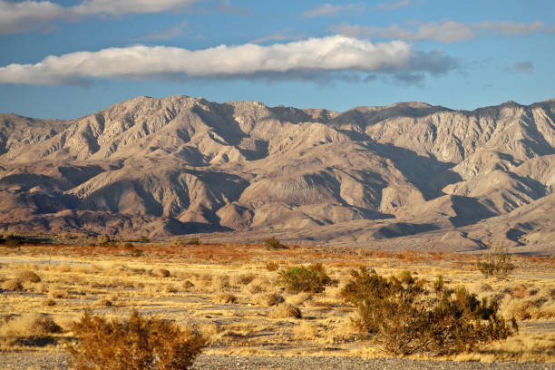 Anza Borrego Desert State Park, San Diego County, California, USA Grey and brown desert mountain range behind a red and gold plain of dried desert vegetation, with bright blue sky and fluffy clouds. anza borrego desert state park photos stock pictures, royalty-free photos & images