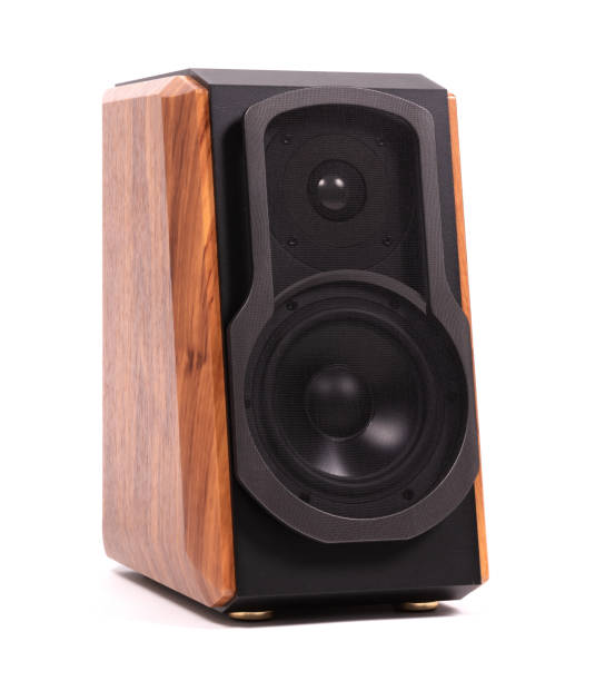 istock Isolated wood speaker, modern speaker on white 1291889819