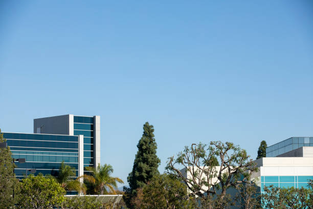 istock Garden Grove, California 1291890745