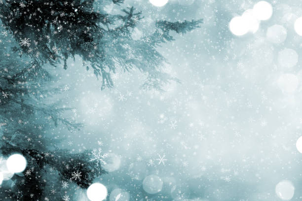 New year christmas noel background
