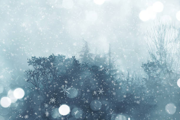 istock New year christmas noel background 1291894506
