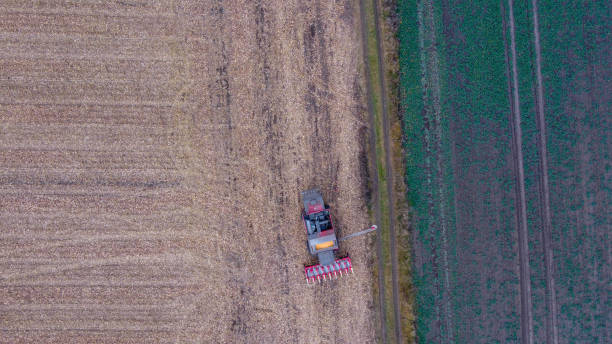 istock Aerial view at the red harvester while gathering the corn crops. 1291895810