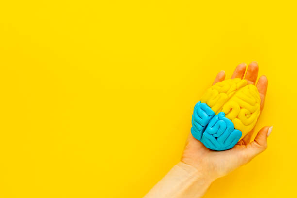 istock Idea concept. Use your brain. Model of clay in the hand, top view 1291898464