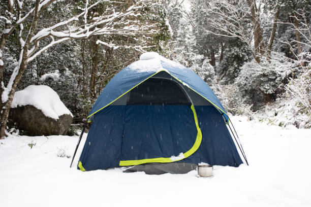 istock Tent camping in the snow 1291902402