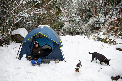 A Japanese woman sitting in her tent in the snow. A dog and cat and exploring in the snow around the tent.