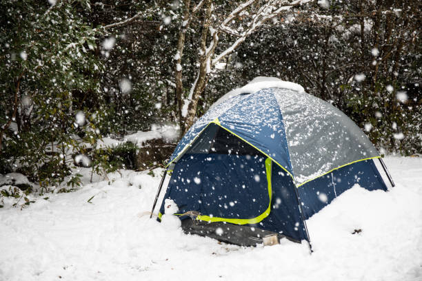 istock Snowing heavily on a tent in a forest 1291902413