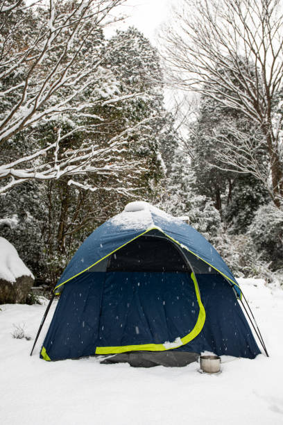 istock Tent camping in the snow 1291902422