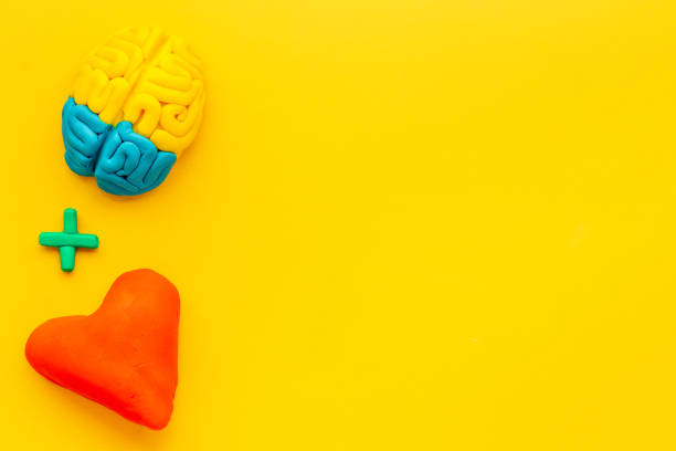 istock Emotional intelligence concept with brain and heart, top view 1291903561