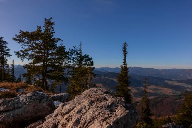 istock trees rocks and beautiful view in a mountain landscape 1291905706