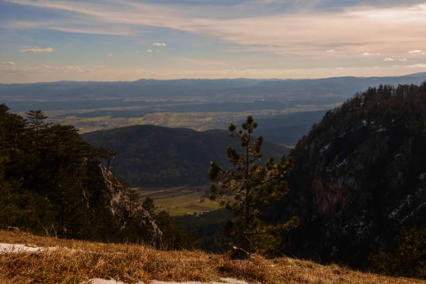 istock viewpoint on a high mountain with meadow with a little tree 1291905710