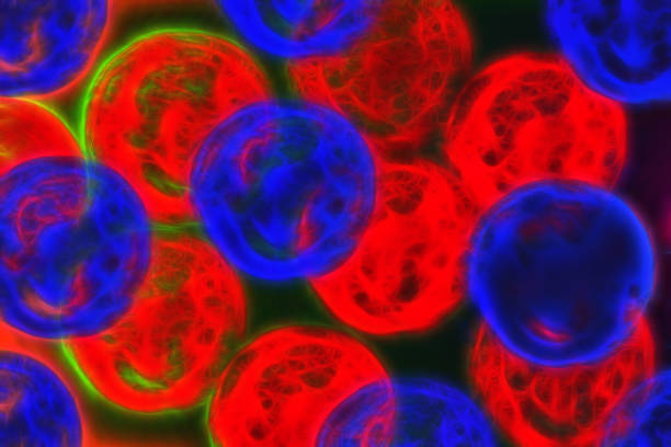 istock Colorful balls. Blue red on dark background. Abstract textural background. View from the front. 1291908954