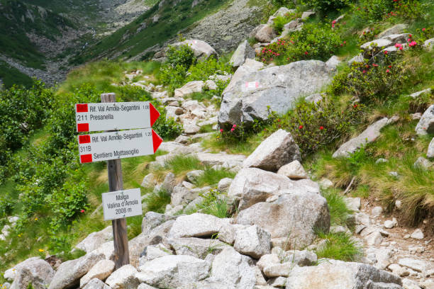istock Signs and path leading to segantini hut 1291910285