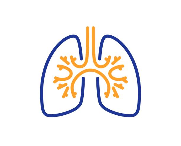 ilustraciones, imágenes clip art, dibujos animados e iconos de stock de icono de línea de pulmones. signo de la enfermedad de neumonía. vector - pulmón