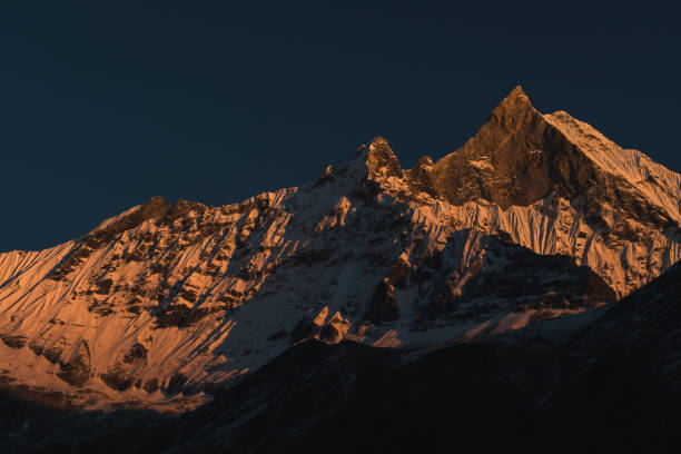 istock Golden sunset light on Mt Machhapuchhare a.k.a Fishtail 1291913946