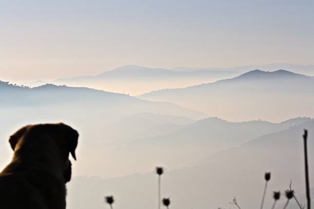 istock Andalucia mountains on a bright,misty day. 1291915066