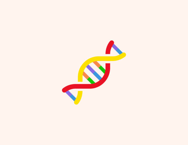 DNA vector icon. Isolated Deoxyribonucleic Acid flat illustration symbol - Vector DNA vector icon. Isolated Deoxyribonucleic Acid flat illustration symbol - Vector helix model stock illustrations