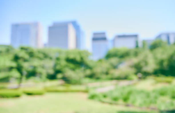 istock Abstract urban landscape background Bokeh 1291917761