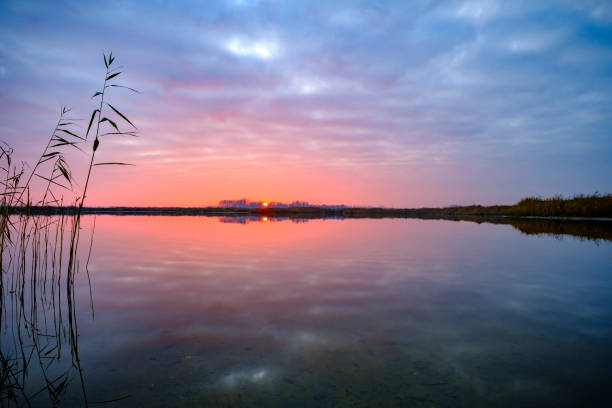 Winter sunset over an empty lake during a beautiful evening in December at the Reevediep near Kampen in Overijssel, The Netherlands.